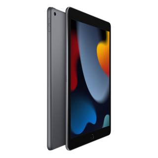 Apple iPad (9th Generation) 10.2-Inch Wi-Fi (2021) Tablet